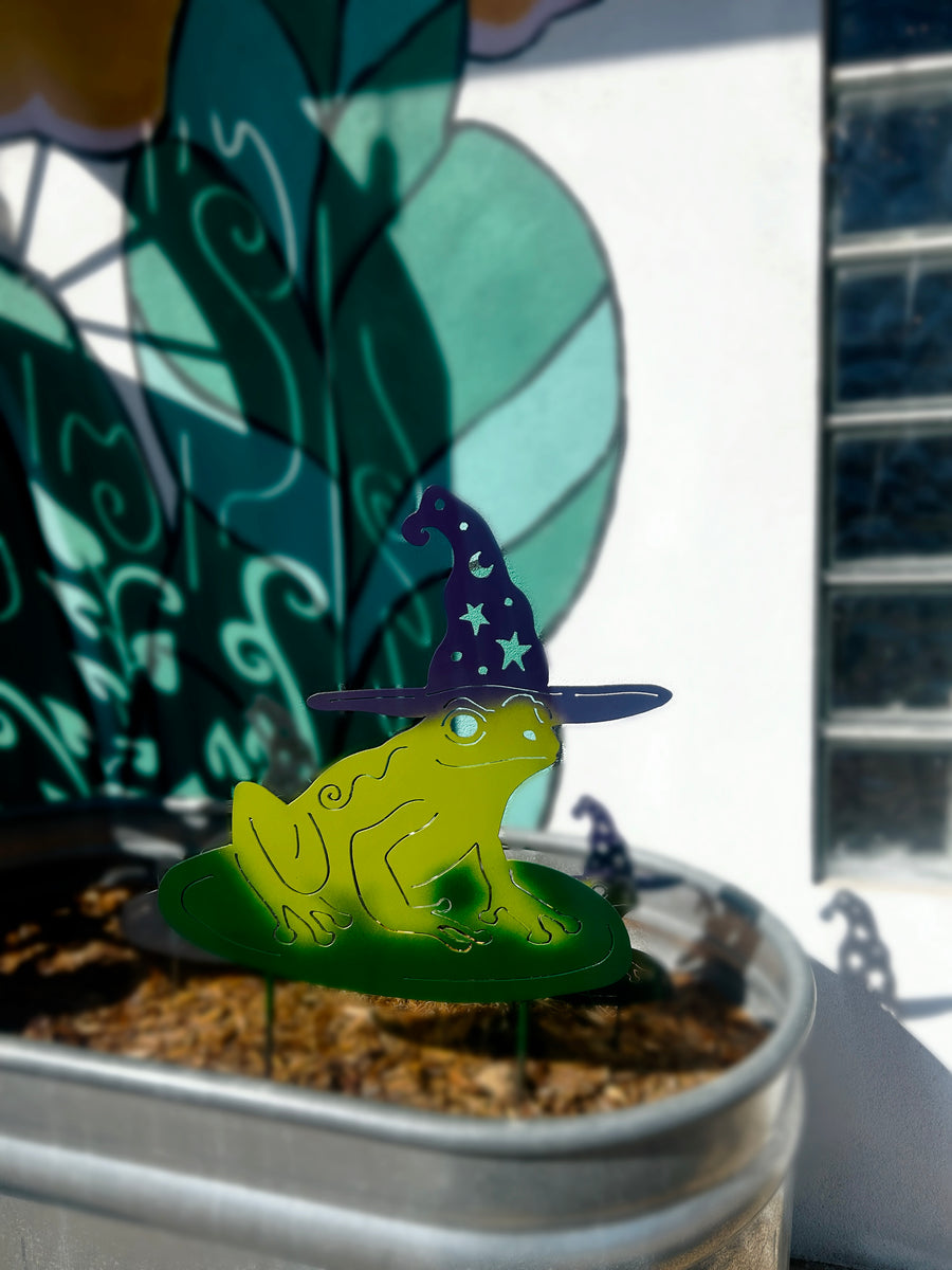 Witchy Frog