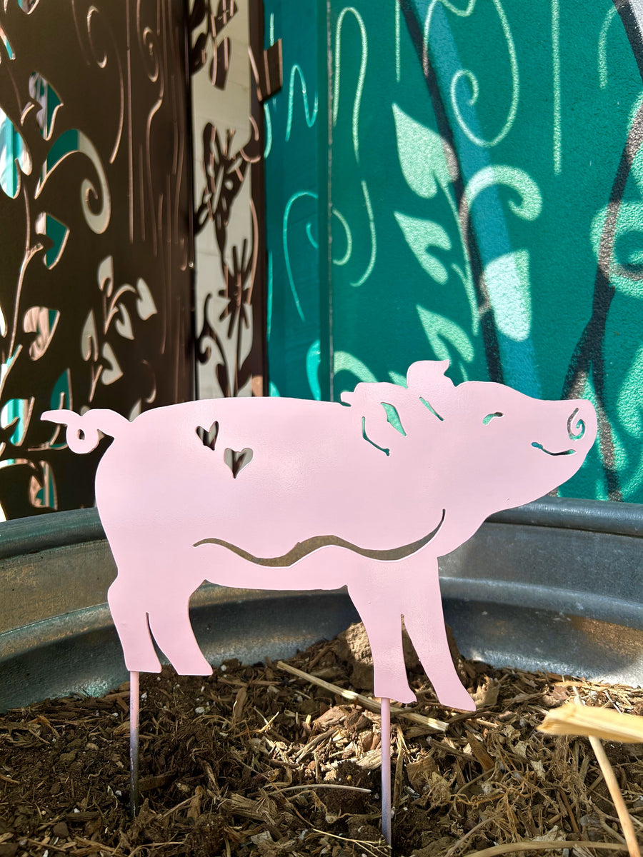 Cutie Pig