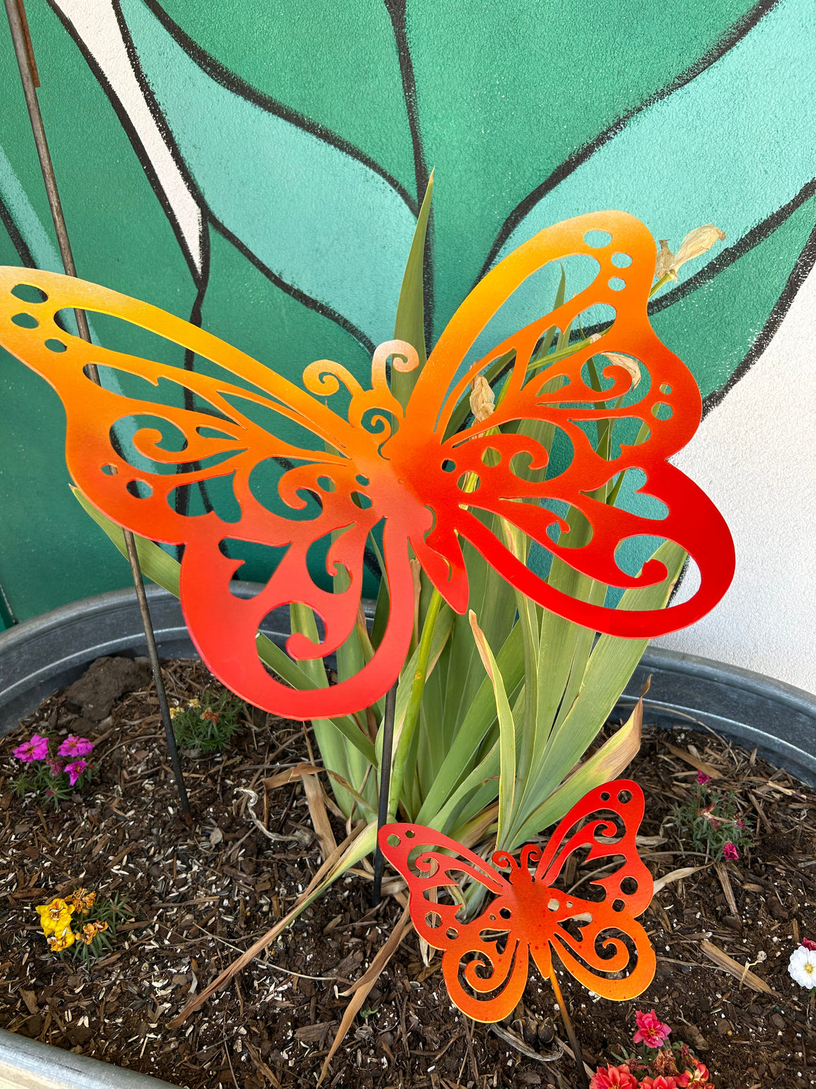 Butterflies