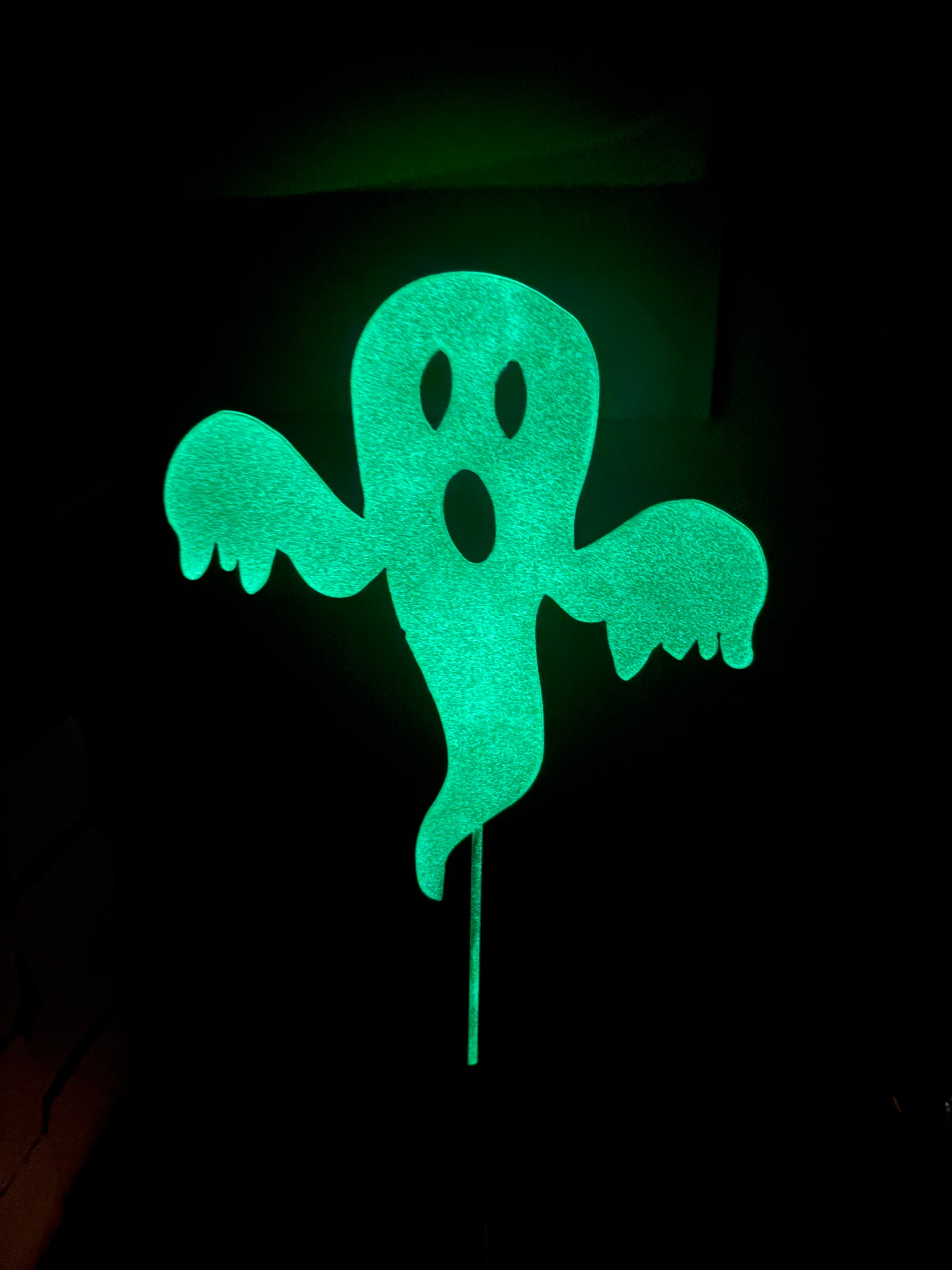 Glow in the Dark Ghost - Limited Edition!
