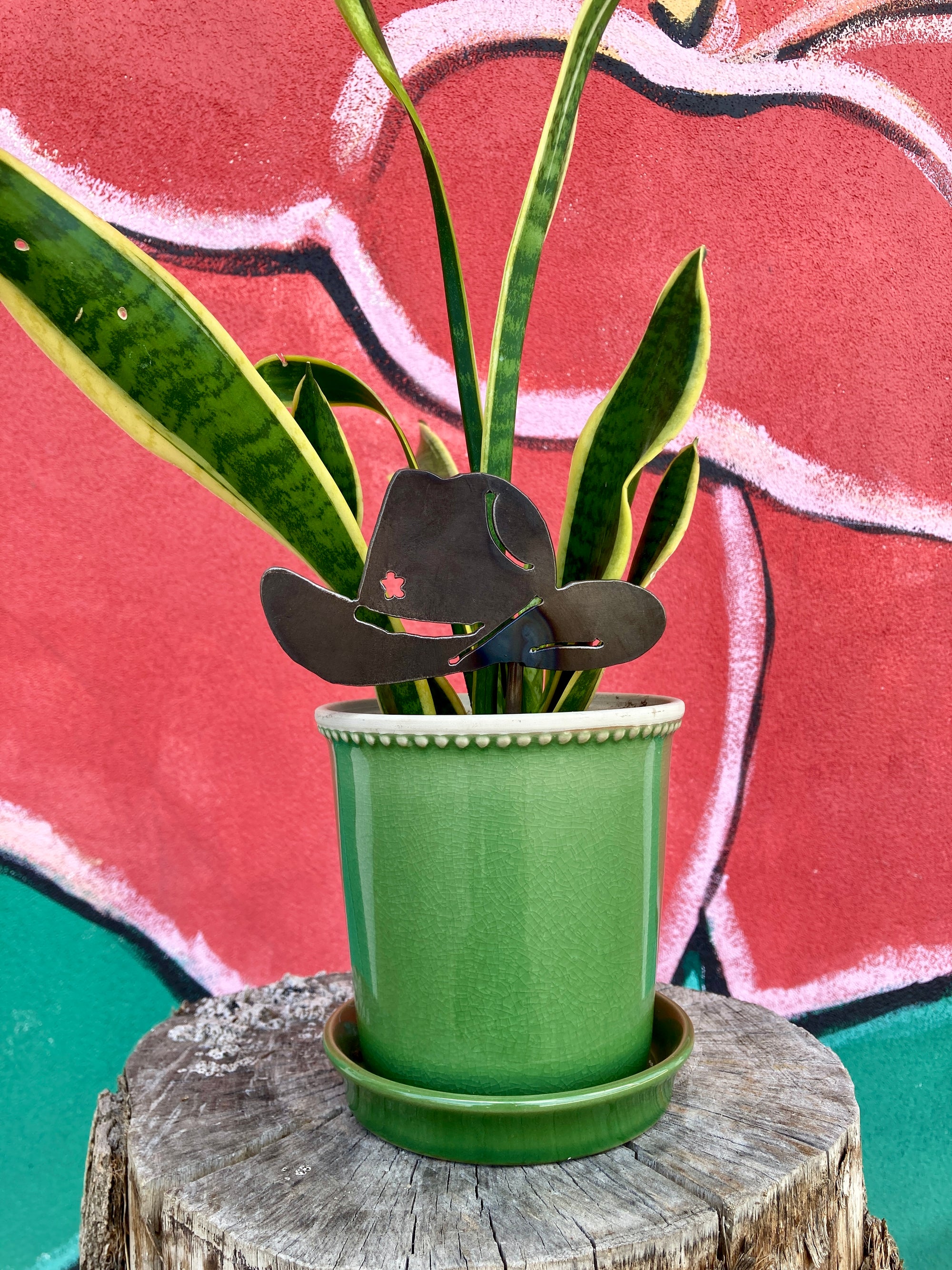 plant pot hat Cowboy Hat Mini Pole