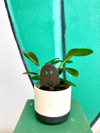 Ghost Mini Pole