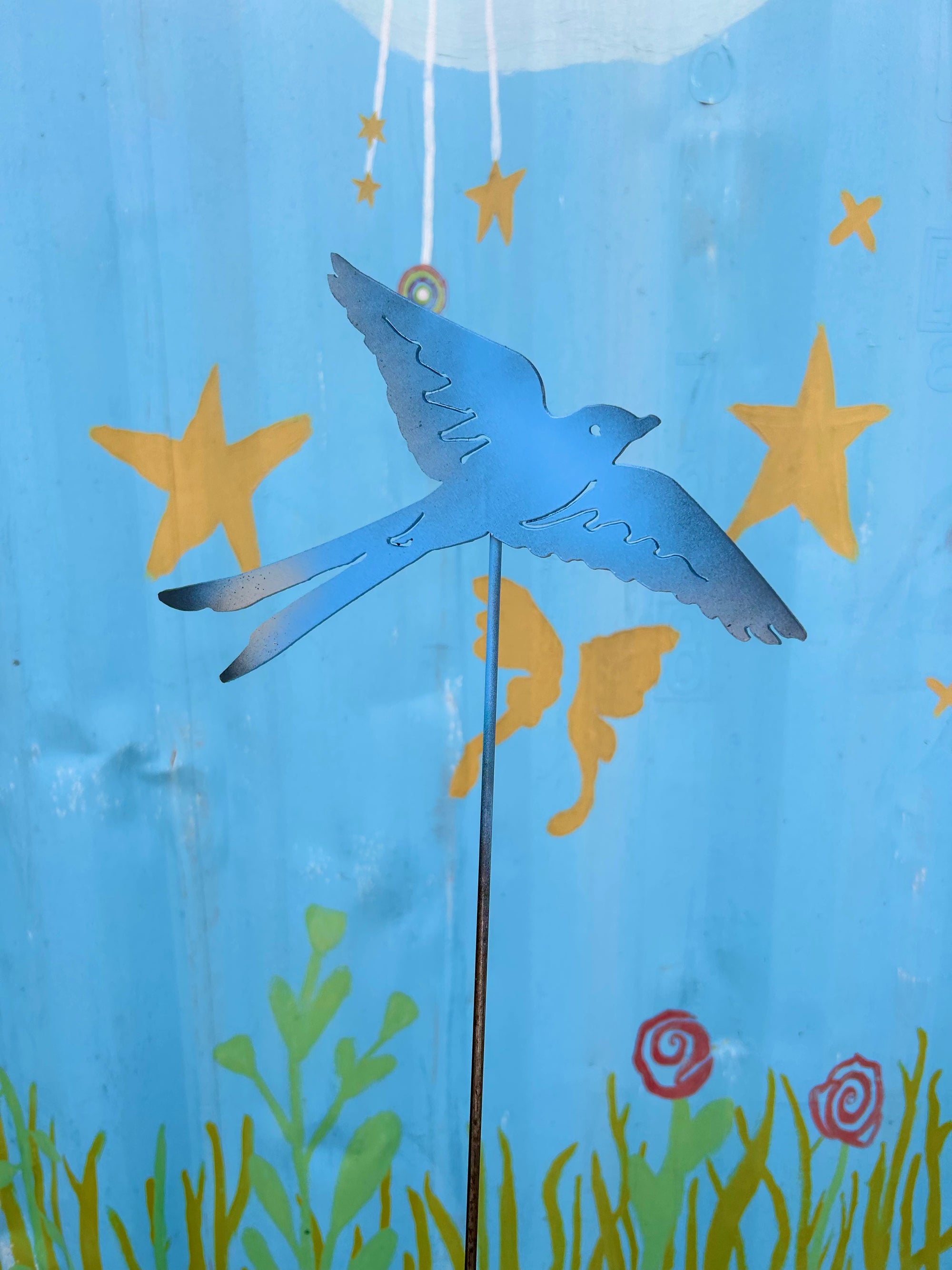 Scissortail Flycatcher