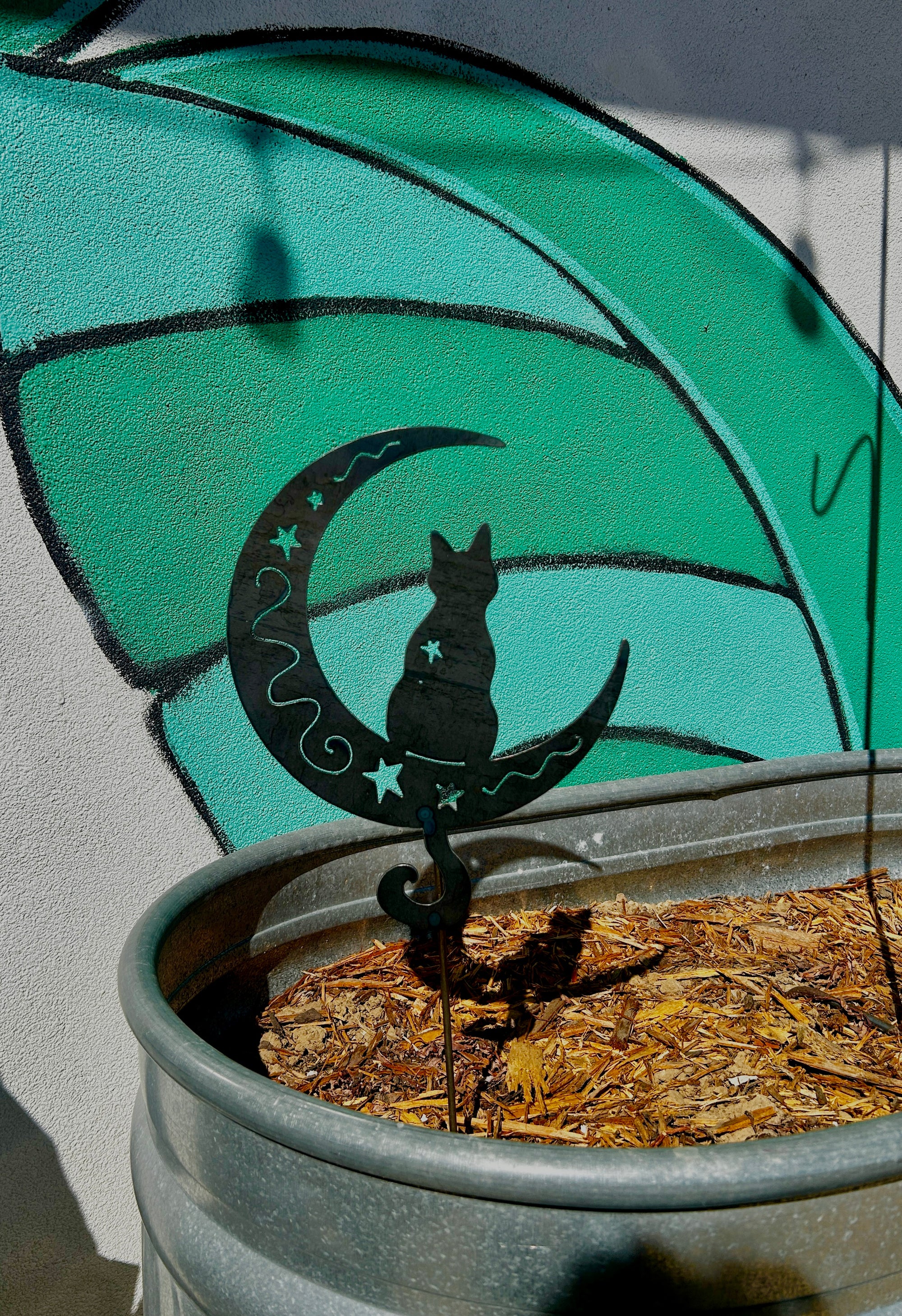 Cat on the Moon