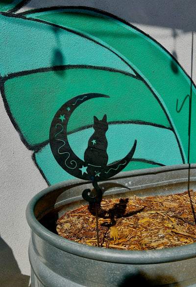 Cat on the Moon