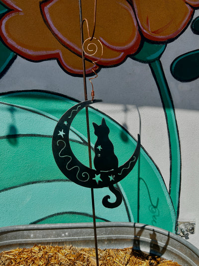Cat on the Moon