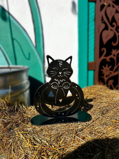 Pumpkin Cat