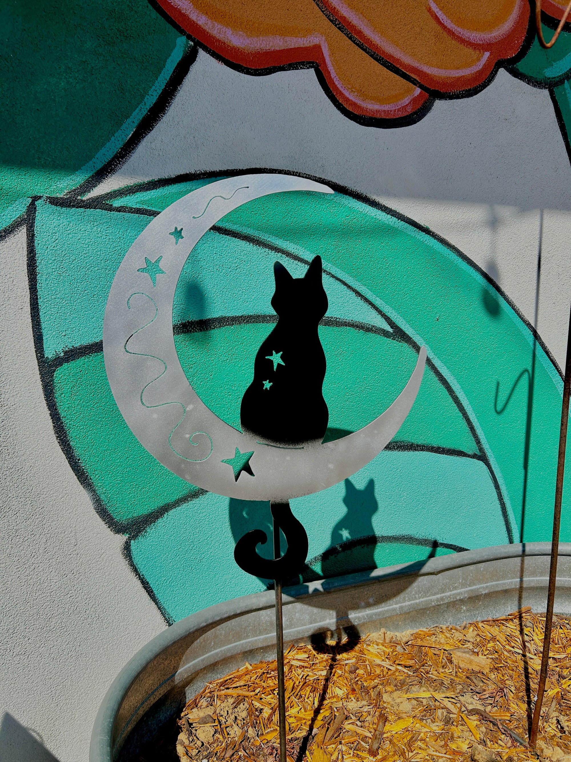 Cat on the Moon