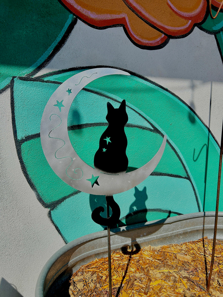 Cat on the Moon