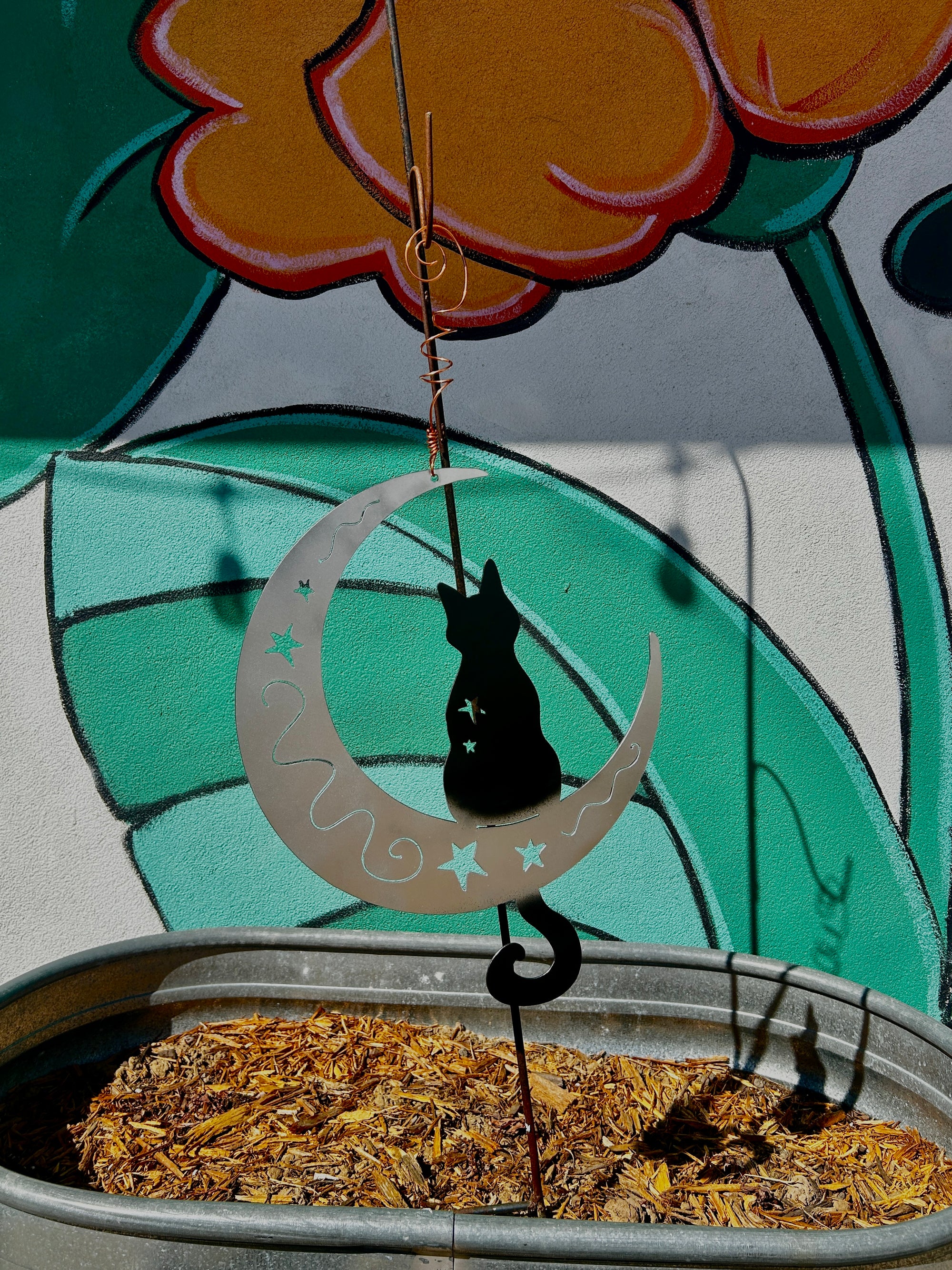 Cat on the Moon