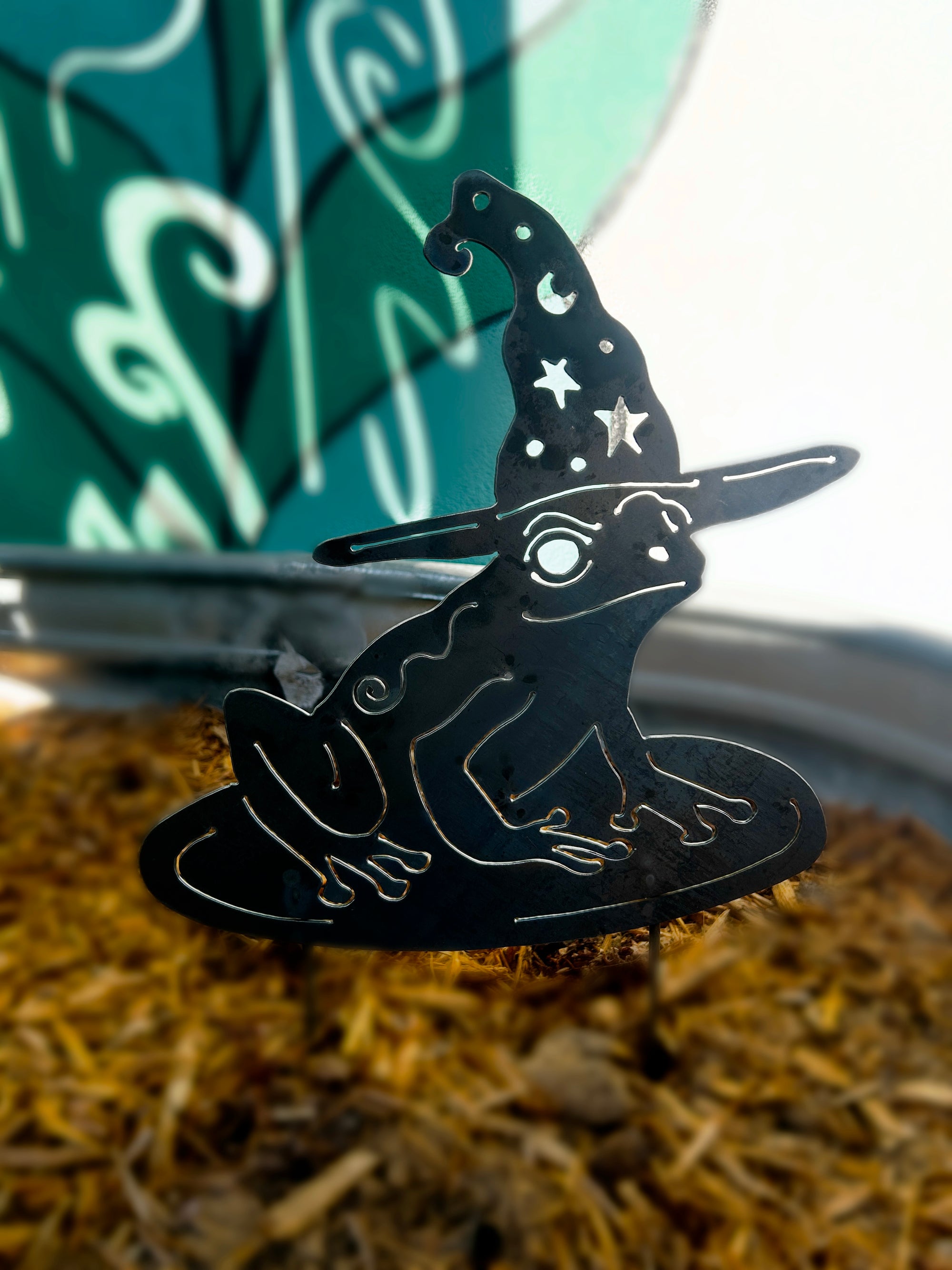 Witchy Frog
