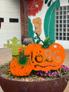 One-Time Garden Goodies Box - 20% OFF