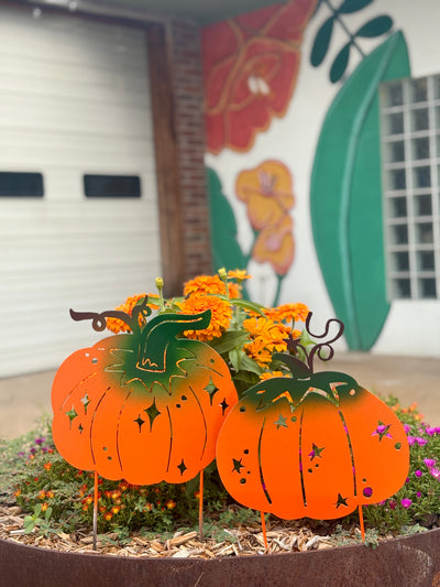 One-Time Garden Goodies Box - 20% OFF