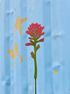 Indian Paintbrush