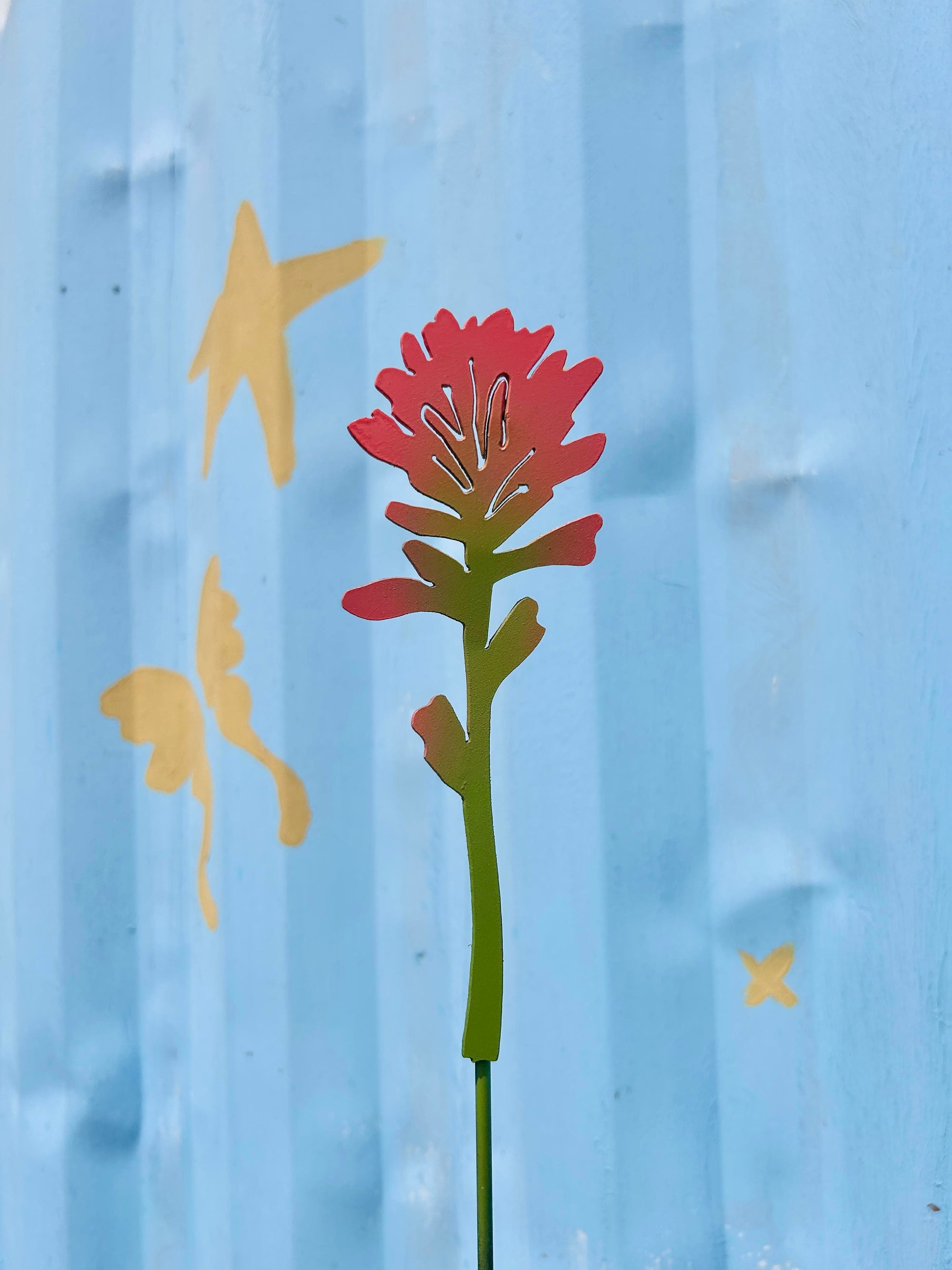 Indian Paintbrush