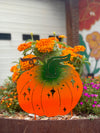Magical Pumpkin