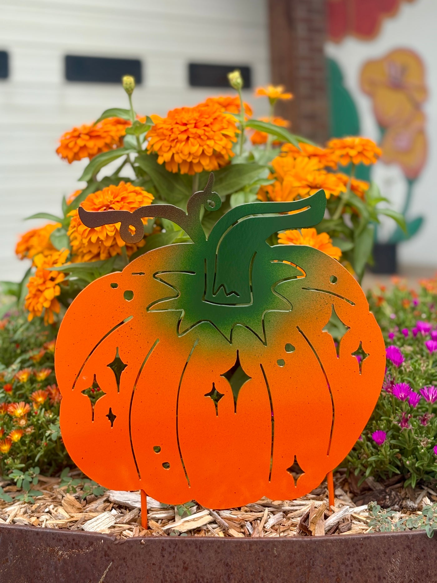 Magical Pumpkin