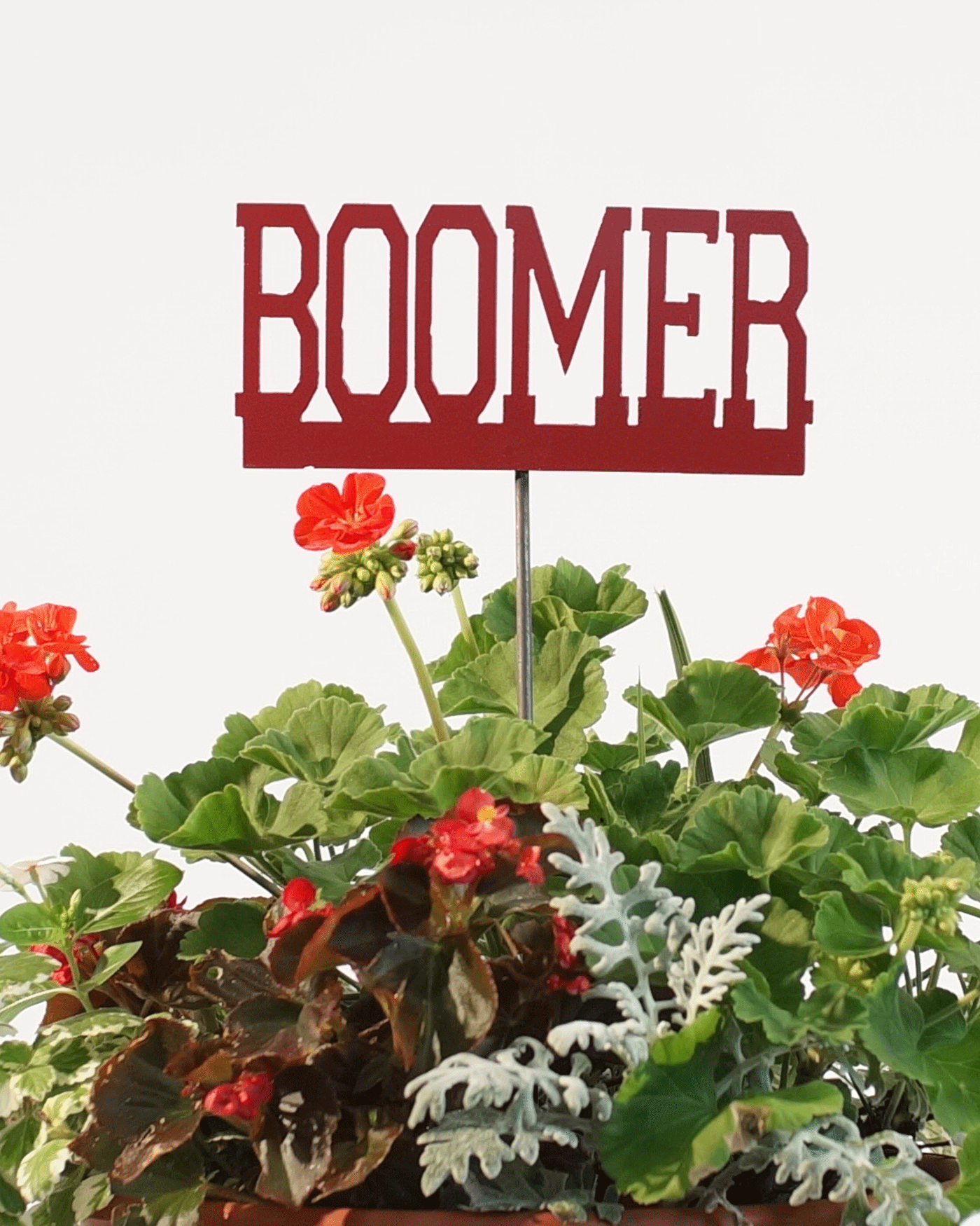 Boomer Pole