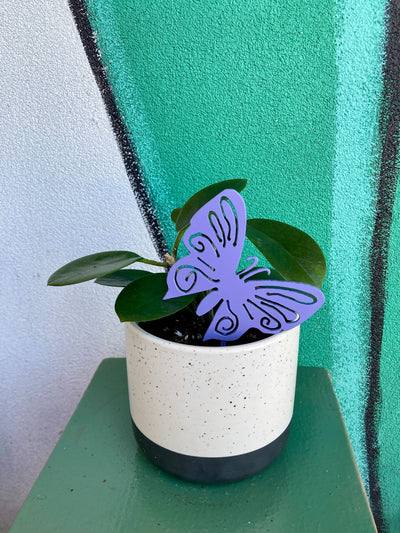 Butterfly Mini Pole