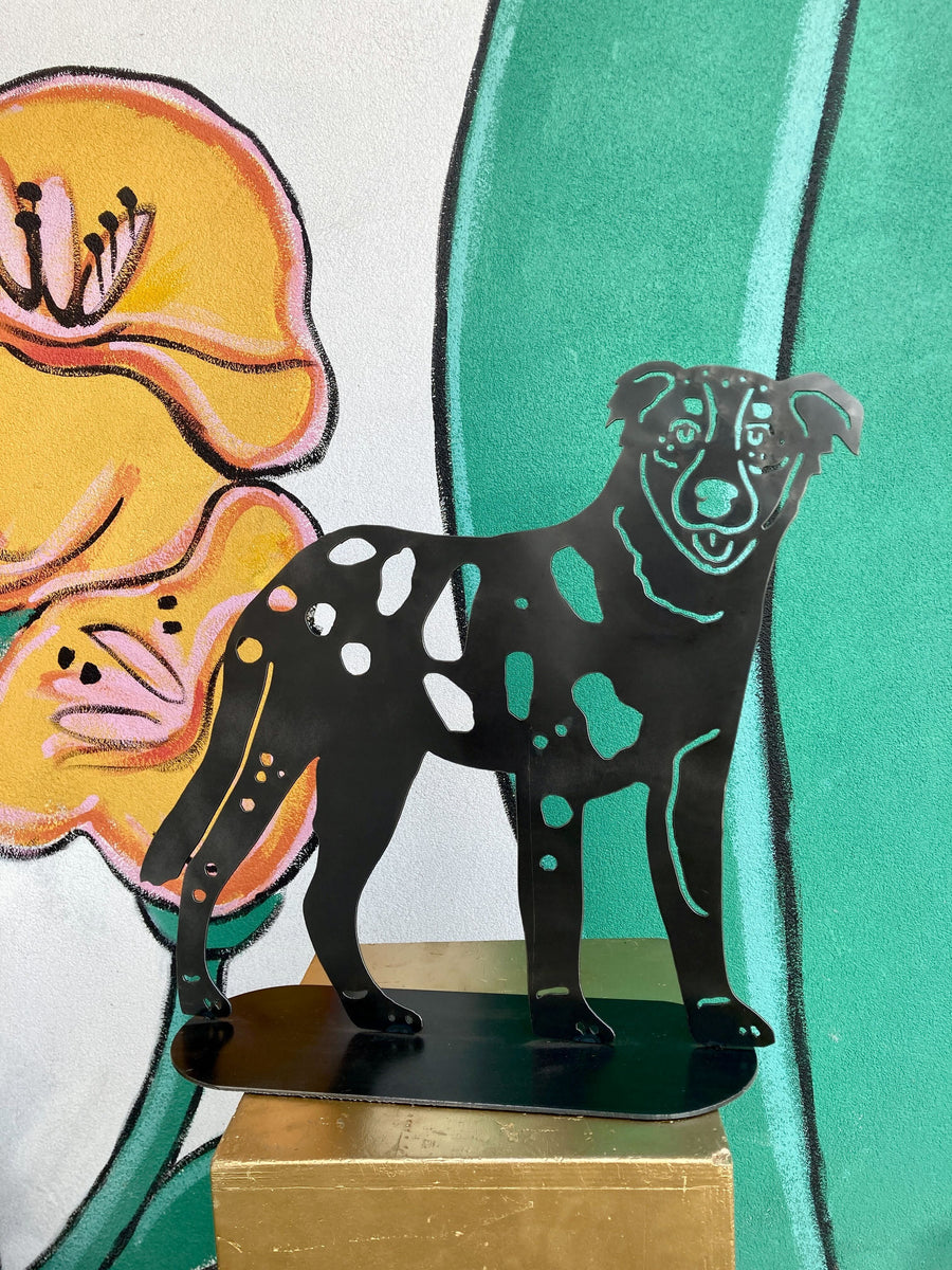 Australian Shepherd Dog