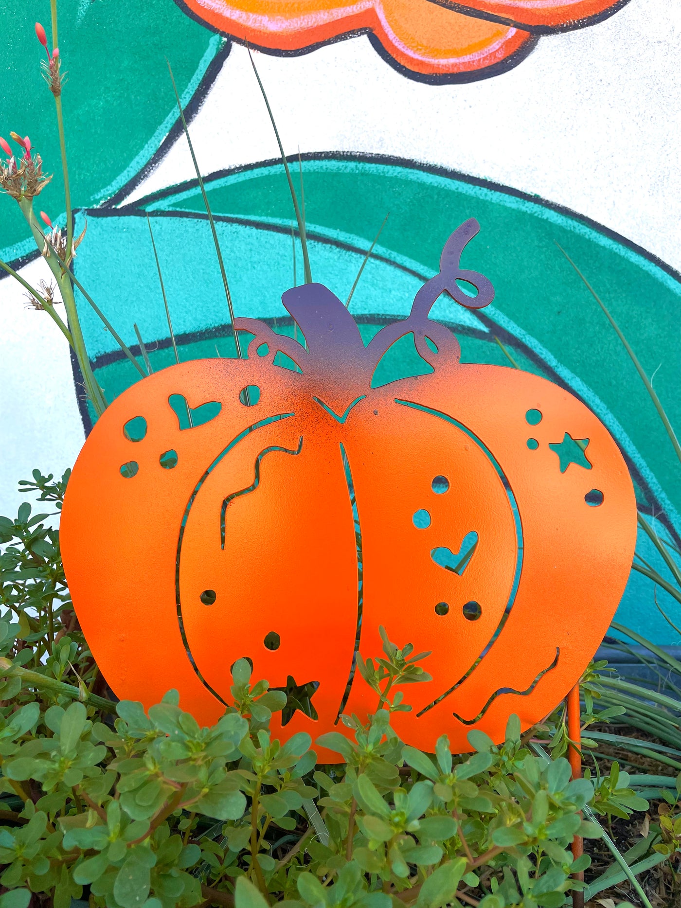Cutie Pumpkin