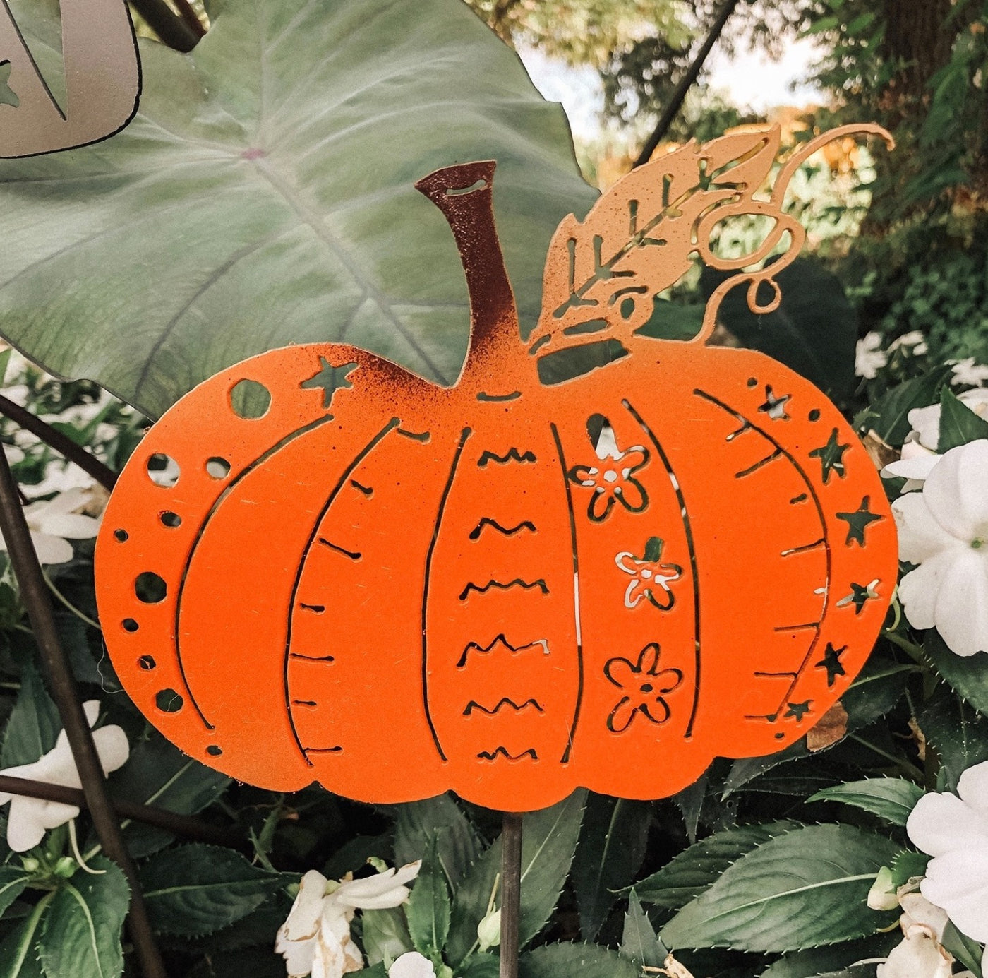 Classy Pumpkin