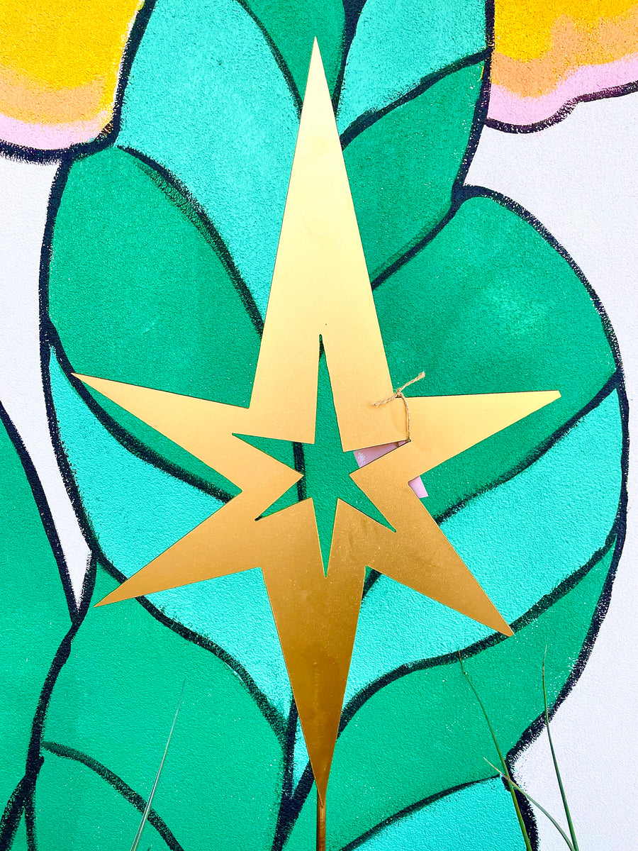 Starry Night Star Pole